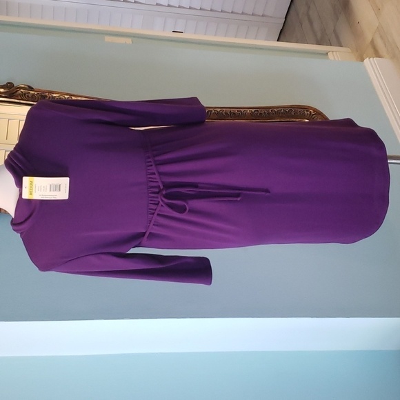 MATERNITY PURPLE DRESS THREE SEASONS NWT - Picture 3 of 5